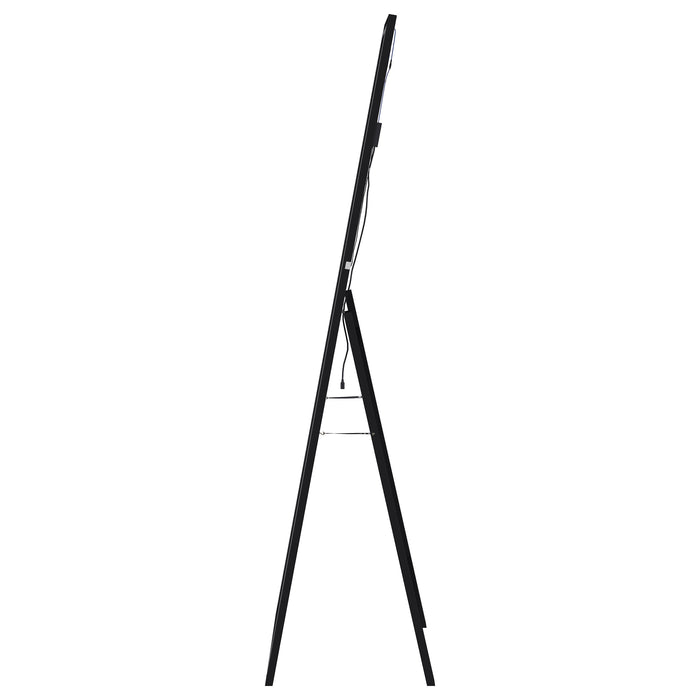 Windrose Standing Mirror with LED Lighting
